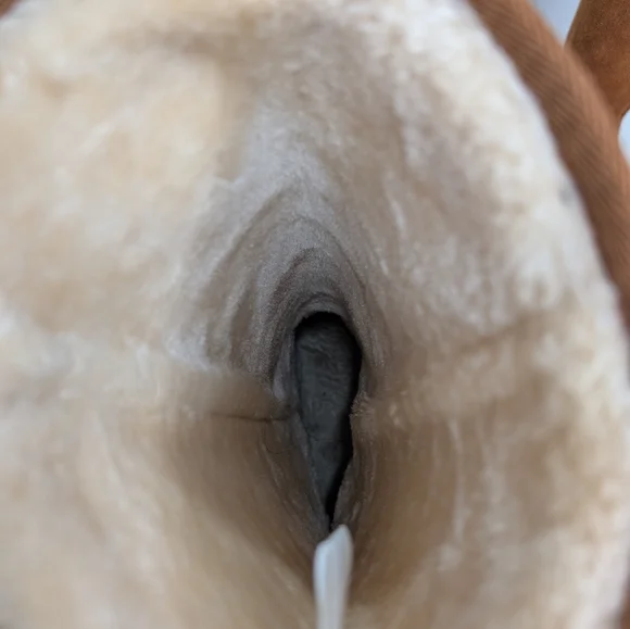 Women’s Chestnut Shearling-Lined Leather Winter Boots | Size 9 Classic UGG-Style - Picture 3 of 7